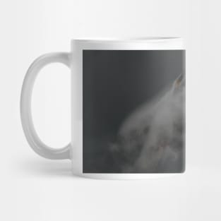 F-22 Raptor Mug